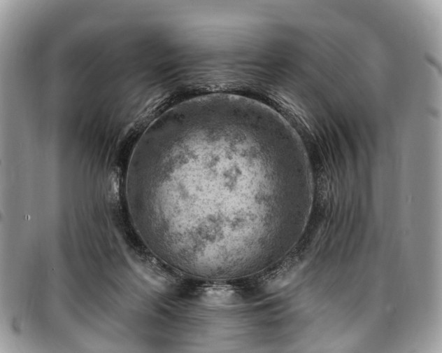 X0000096950214200802151245