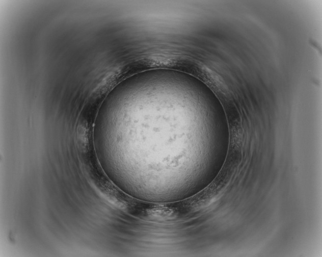 X0000096950215200802151245