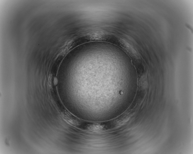 X0000096950217200802151245