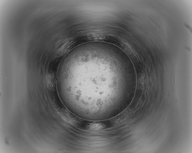 X0000096950218200802151245