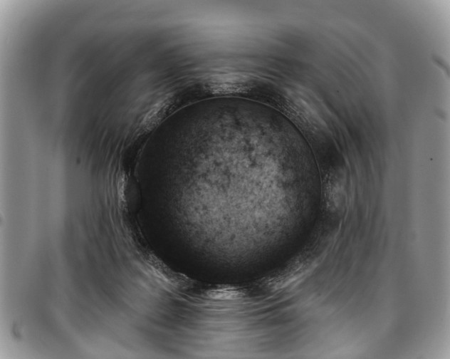 X0000096950219200802151245