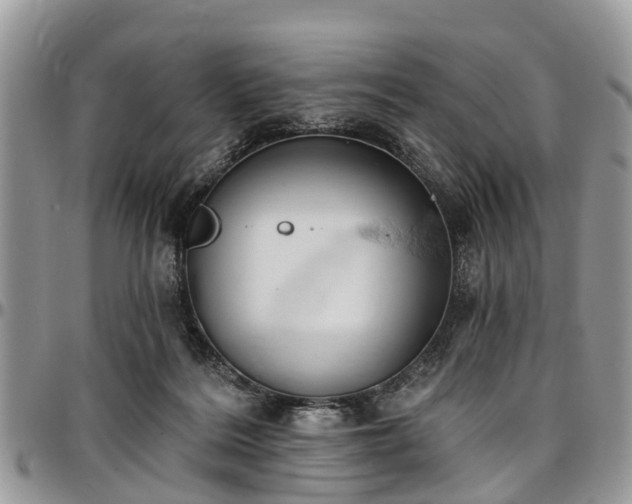 X0000096950220200802151245