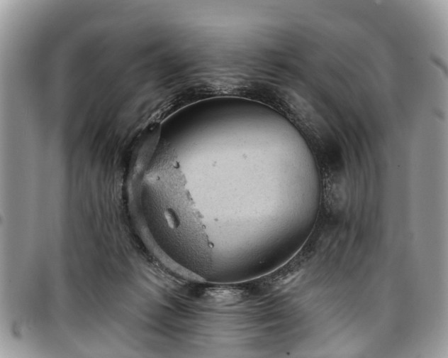 X0000096950221200802151245