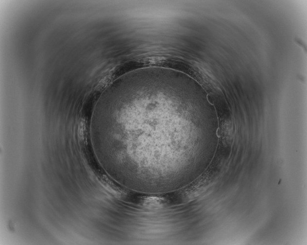 X0000096950222200802151245