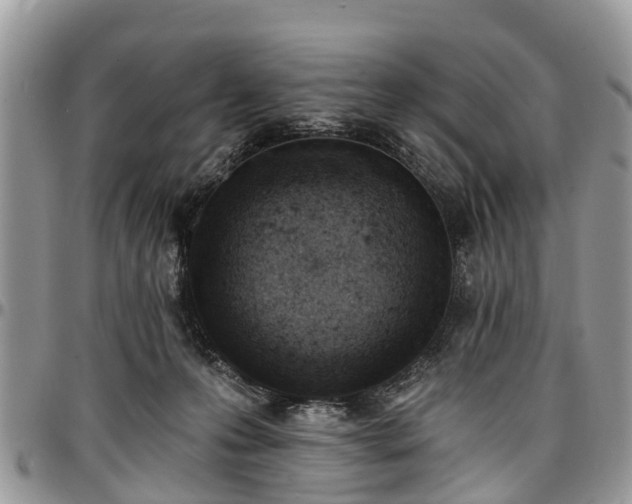 X0000096950223200802151245