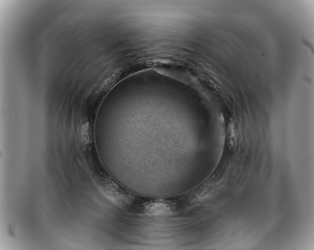 X0000096950224200802151245