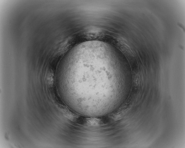 X0000096950226200802151245