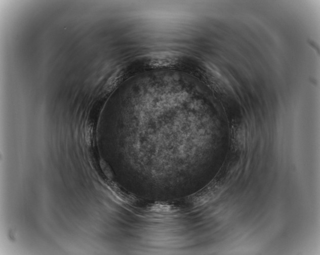 X0000096950227200802151245