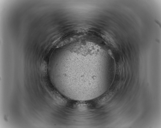 X0000096950228200802151245