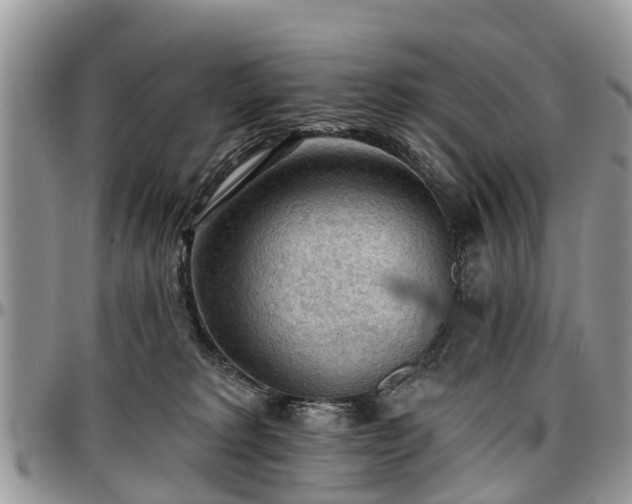 X0000096950229200802151245