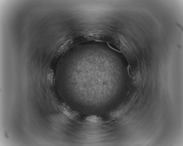 X0000096950231200802151245