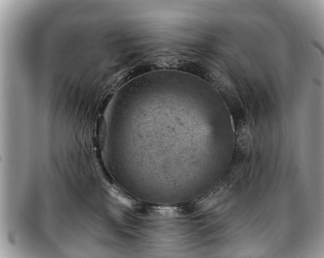 X0000096950233200802151245