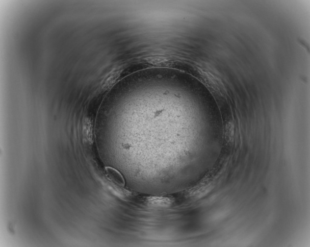 X0000096950234200802151245
