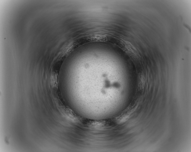 X0000096950236200802151245
