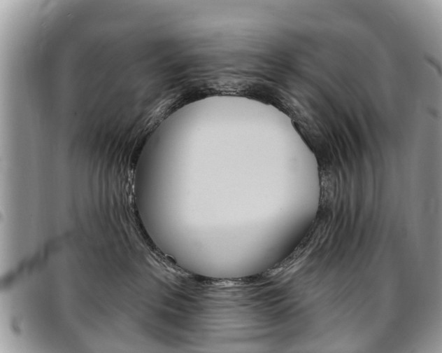 X0000096950237200802151245