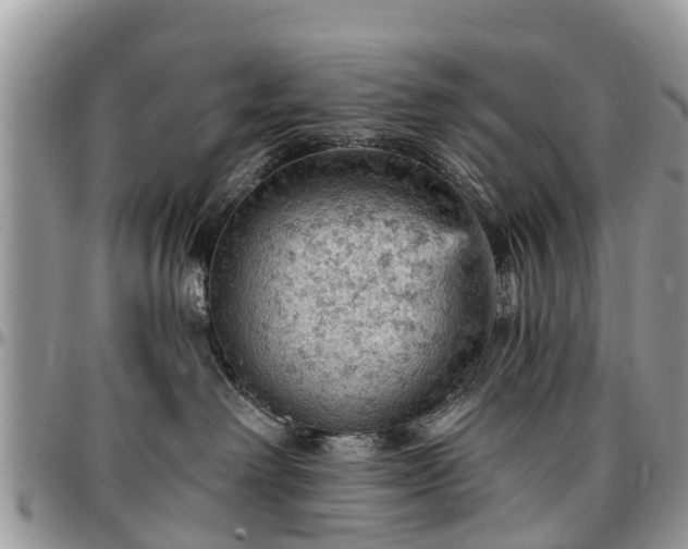X0000096950238200802151245