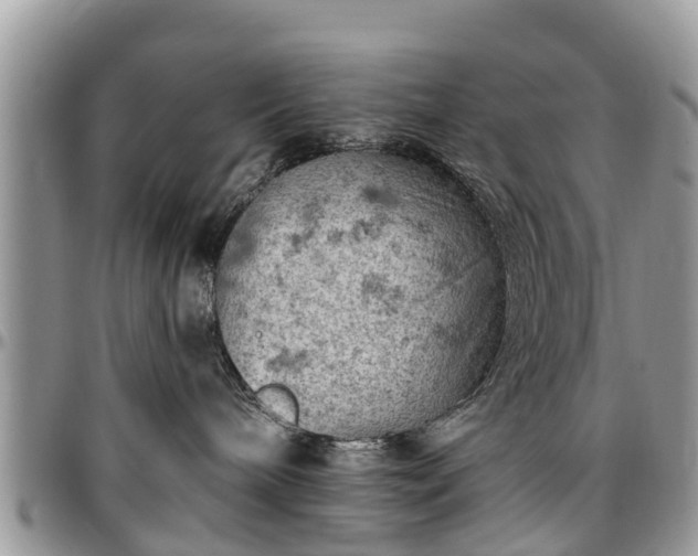 X0000096950240200802151245