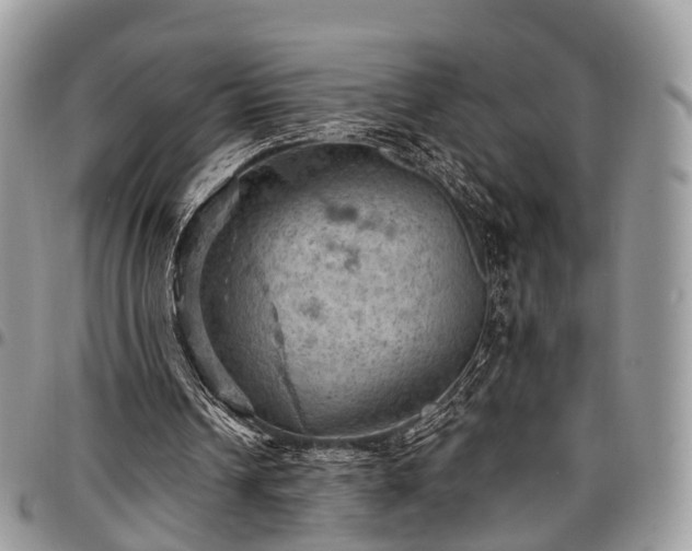 X0000096950242200802151244
