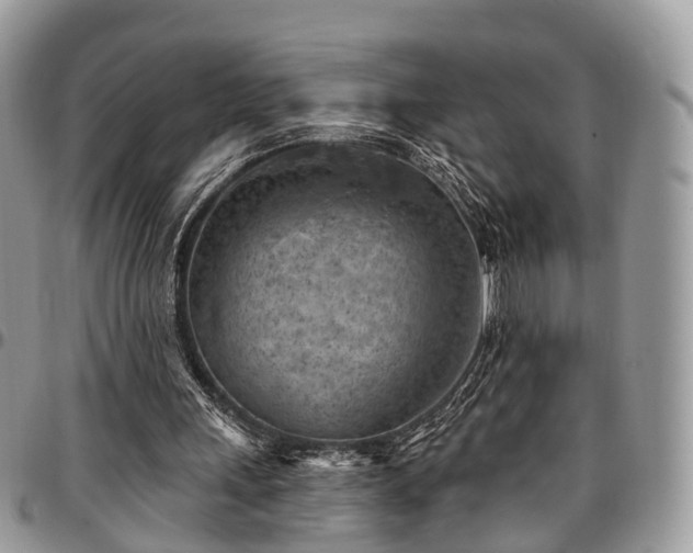 X0000096950243200802151244
