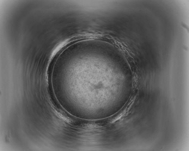 X0000096950246200802151244