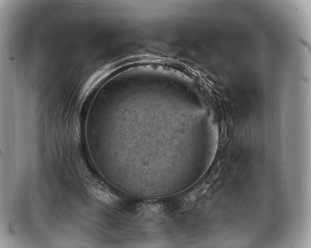 X0000096950247200802151244