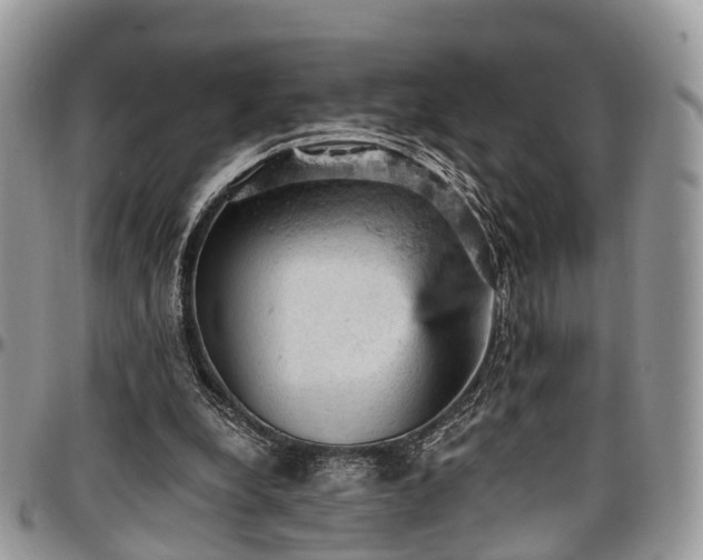 X0000096950248200802151244