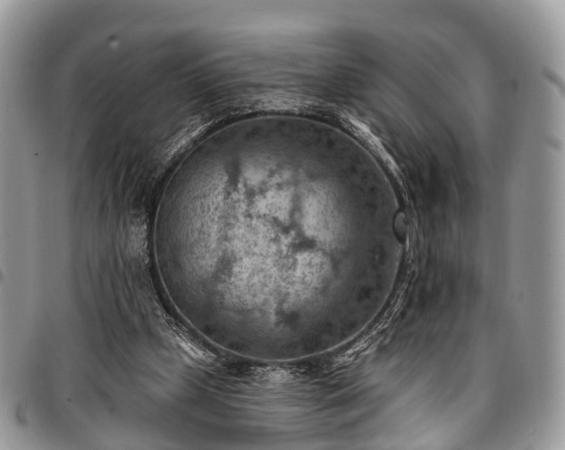 X0000096950249200802151244