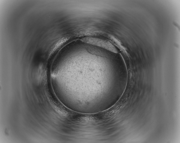 X0000096950250200802151244