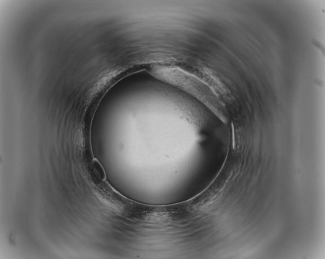 X0000096950252200802151244