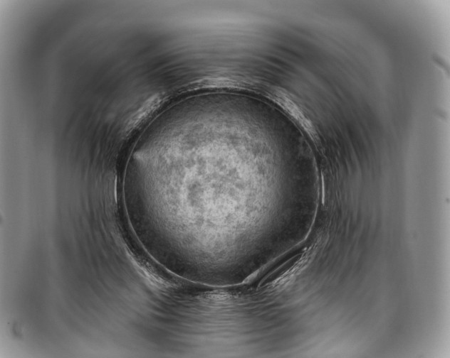 X0000096950253200802151244