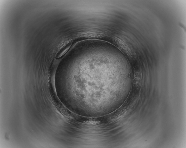 X0000096950255200802151244