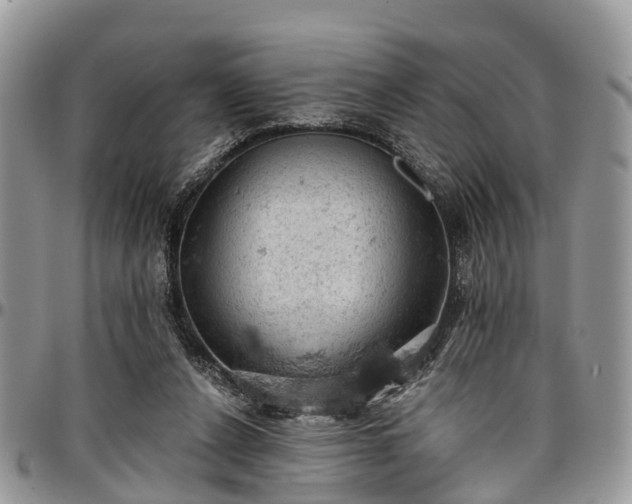 X0000096950256200802151244