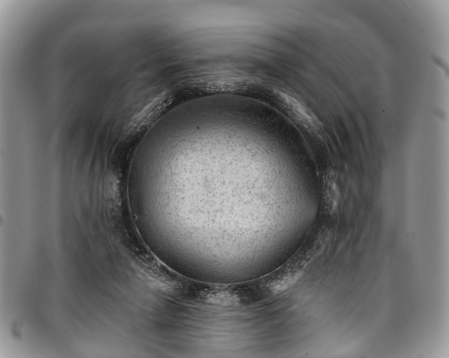 X0000096950258200802151244