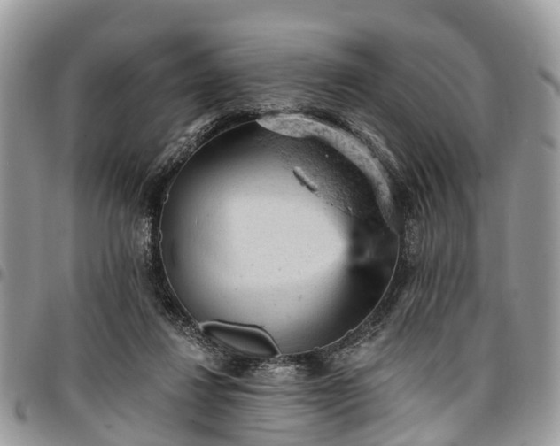 X0000096950260200802151244