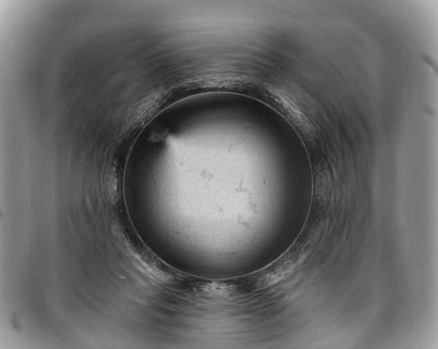 X0000096950261200802151244