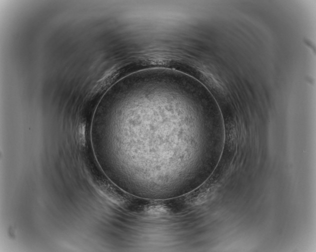 X0000096950262200802151244
