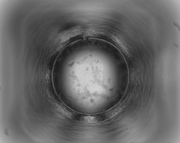 X0000096950265200802151244