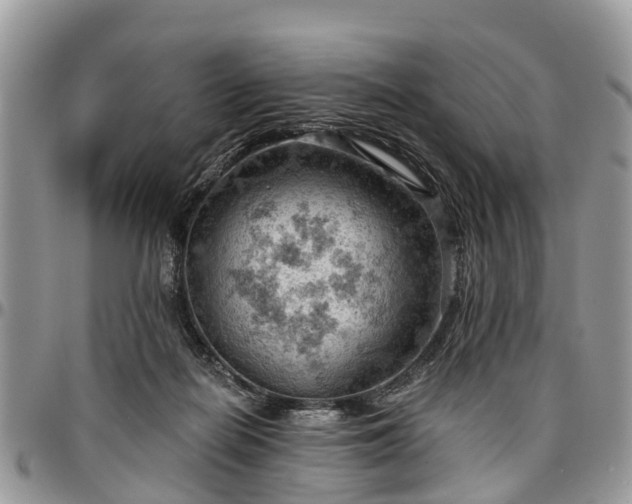 X0000096950266200802151244