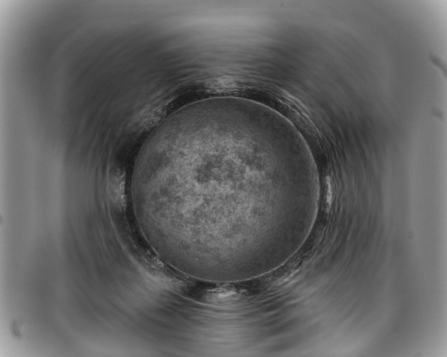 X0000096950267200802151244