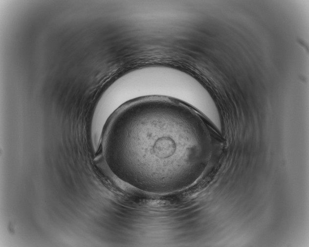 X0000096950268200802151244