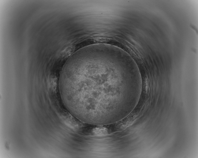 X0000096950271200802151244
