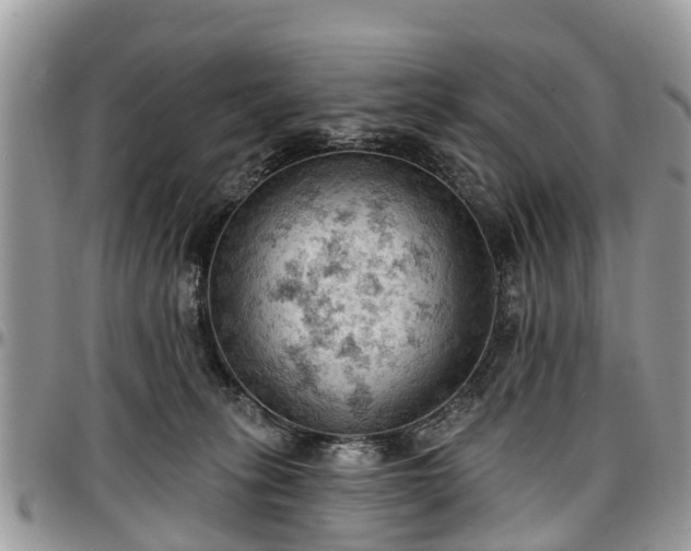 X0000096950275200802151244