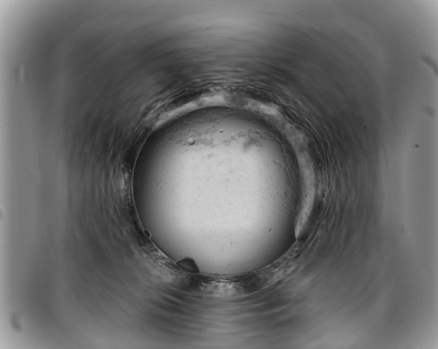 X0000096950276200802151244