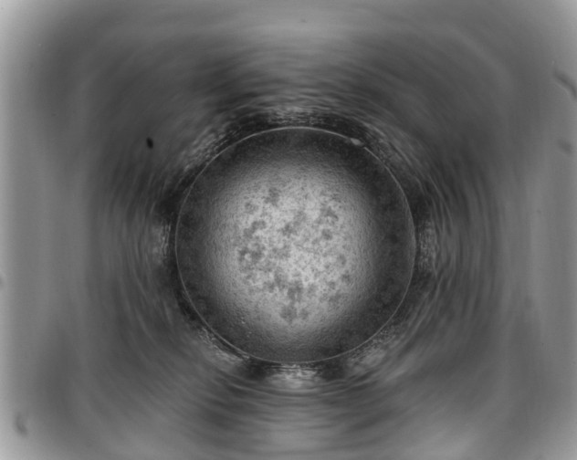 X0000096950278200802151244