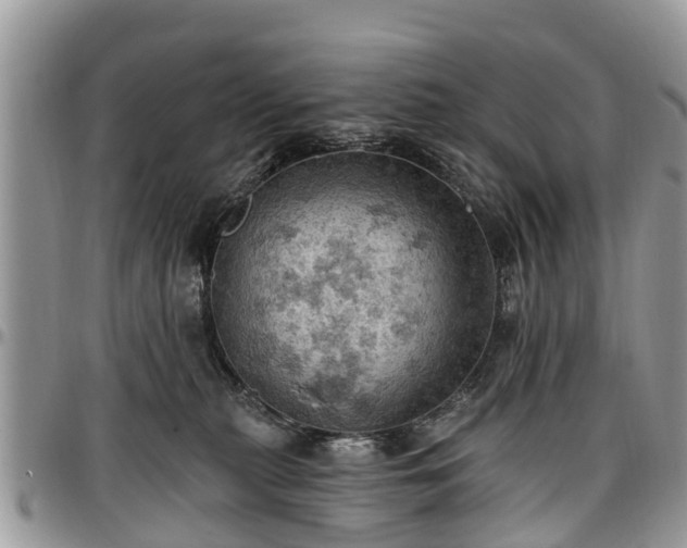 X0000096950279200802151244