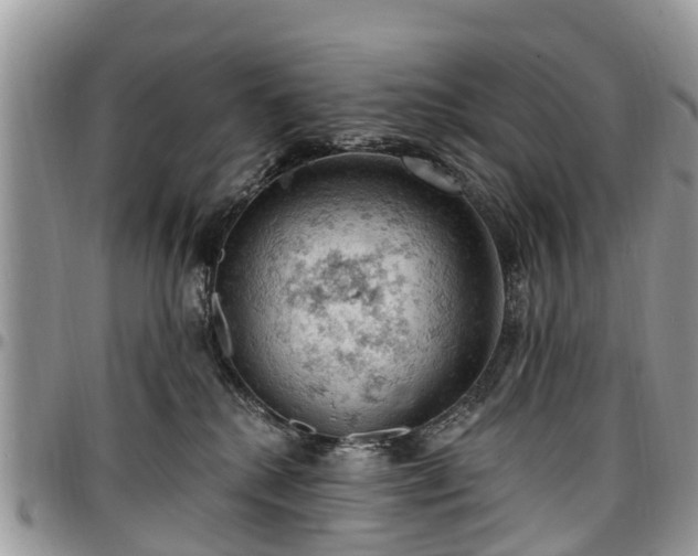 X0000096950280200802151244