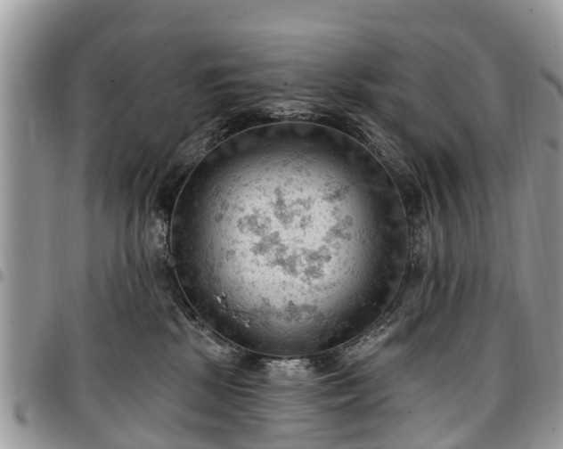 X0000096950281200802151244