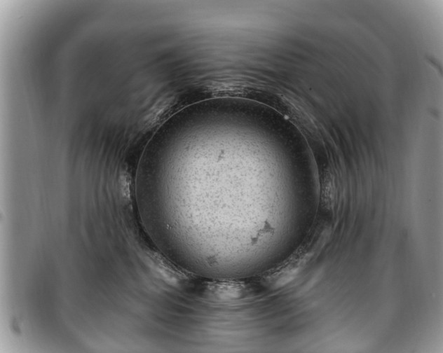 X0000096950282200802151245