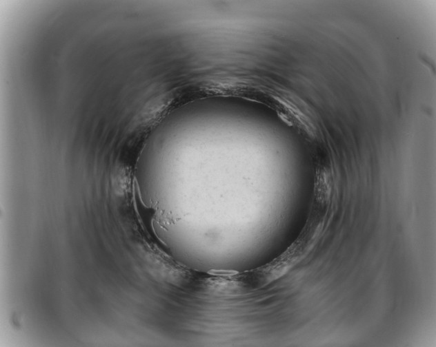 X0000096950284200802151245
