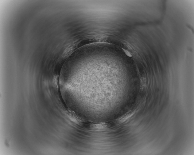 X0000096950286200802151245